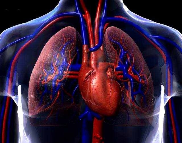 Asociación de la rigidez aórtica con calcificaciones vasculares abdominales y coronarias en pacientes con enfermedad renal crónica estadios 3 y 4